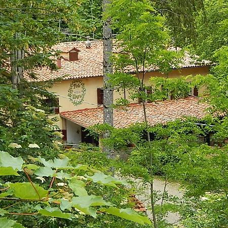 Agriturismo Fonte Magria Abbadia San Salvator Exterior photo
