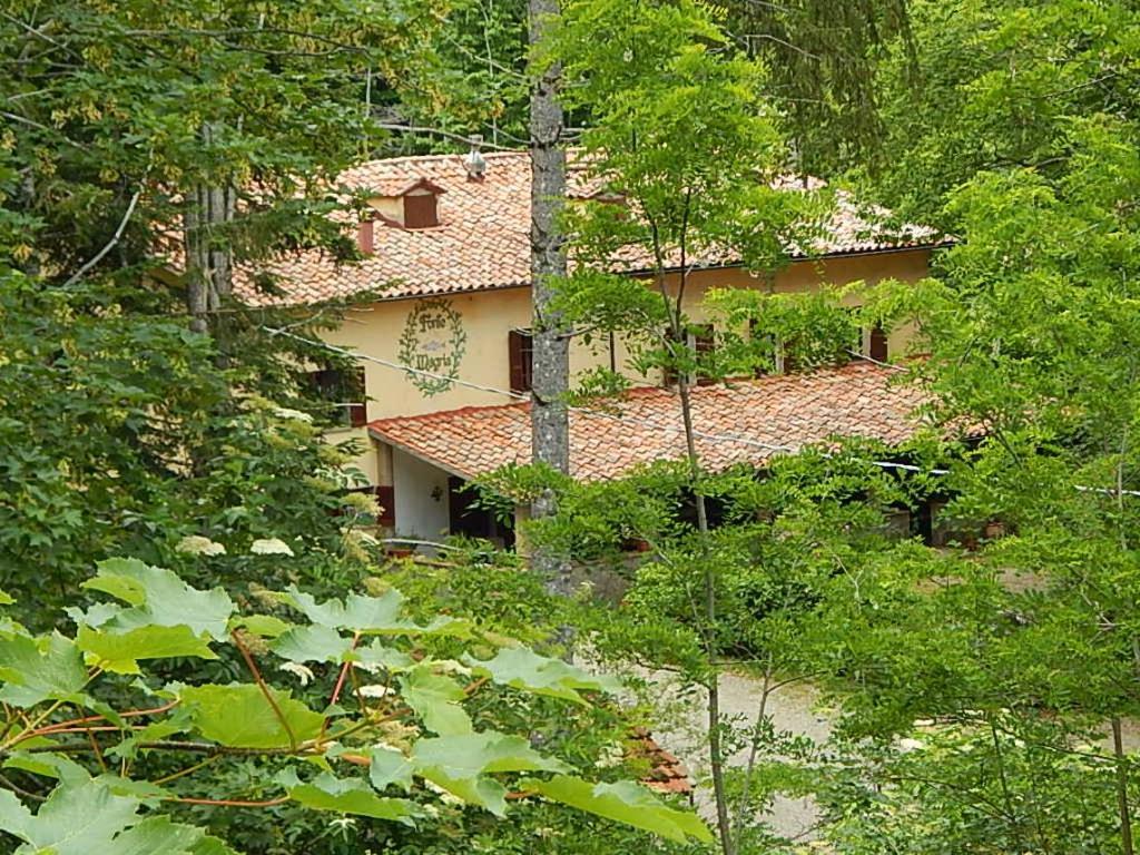 Agriturismo Fonte Magria Abbadia San Salvator Exterior photo